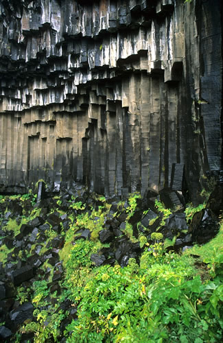 Basaltsäulen beim Svartifoss